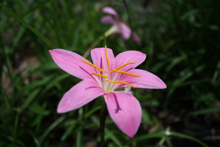 �T�t�����[