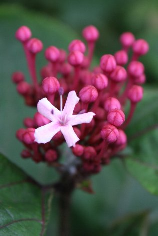 ���O�L��