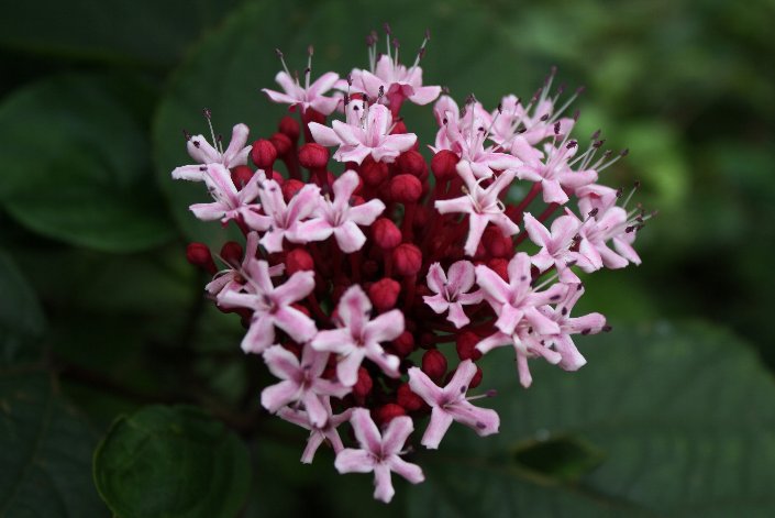 ���O�L��