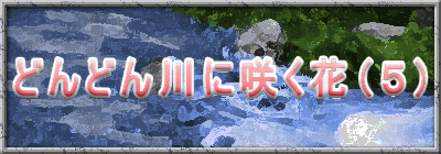 �ǂ�ǂ��ɍ炭�ԁi�T�j 