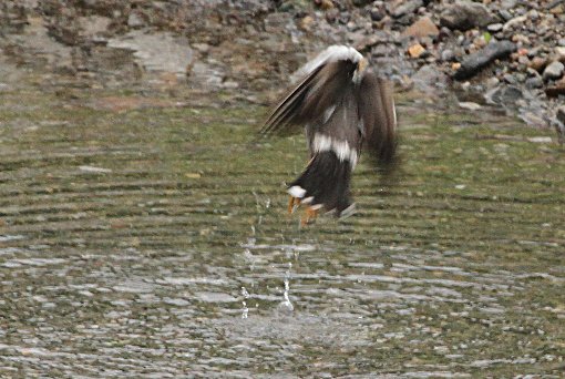 ���N�h��