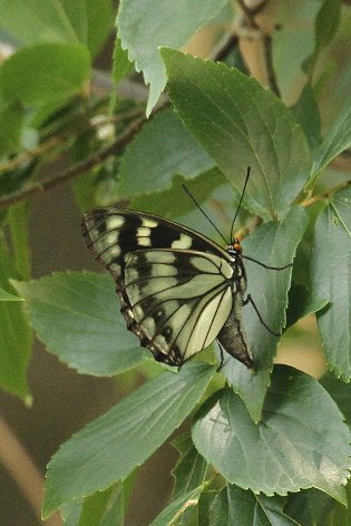 �S�}�_���`���E