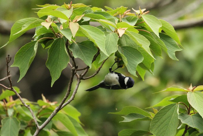 �V�W���E�J��