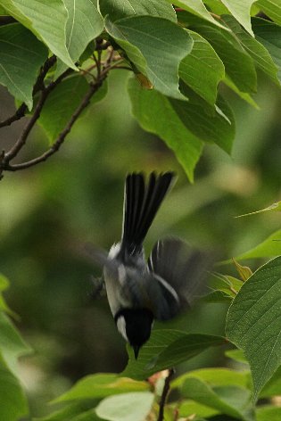 �V�W���E�J��