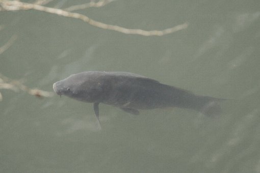 �a������