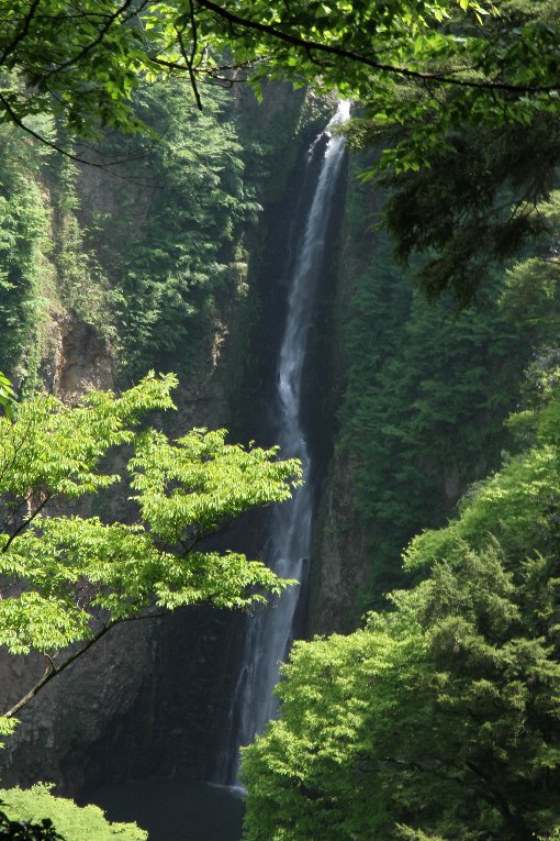 �k���̑�i�Y��j