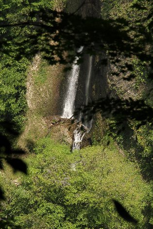 �k���̑�i����j