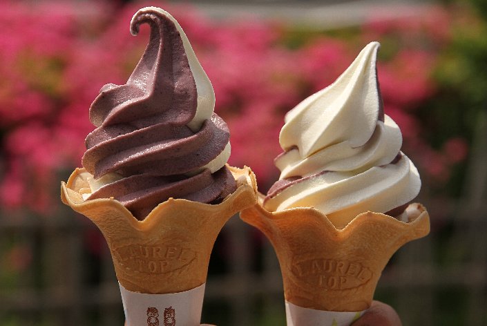 �u���[�x���[�ƃo�j���̃~�b�N�X�\�t�g