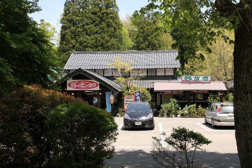 �����イ��̉Ԃ̋�