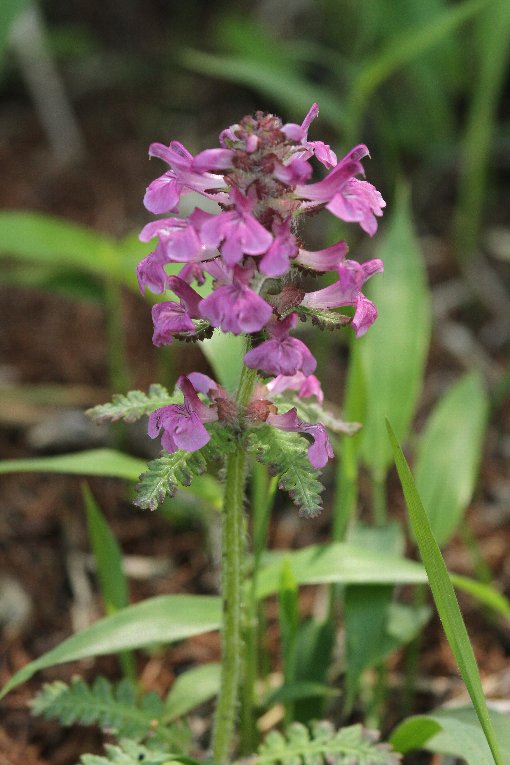 �}������