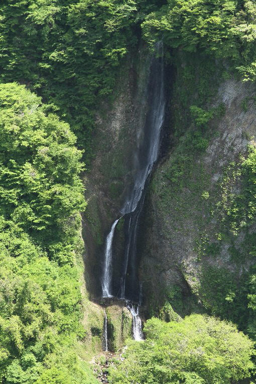 �k���̑�i����j