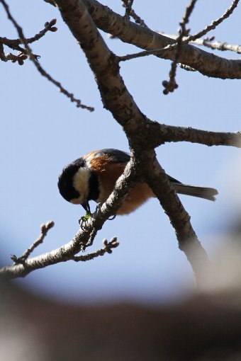 ���}�K��