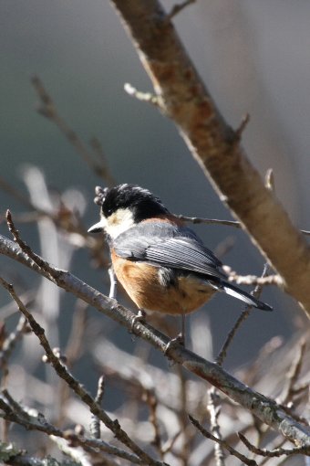 ���}�K��