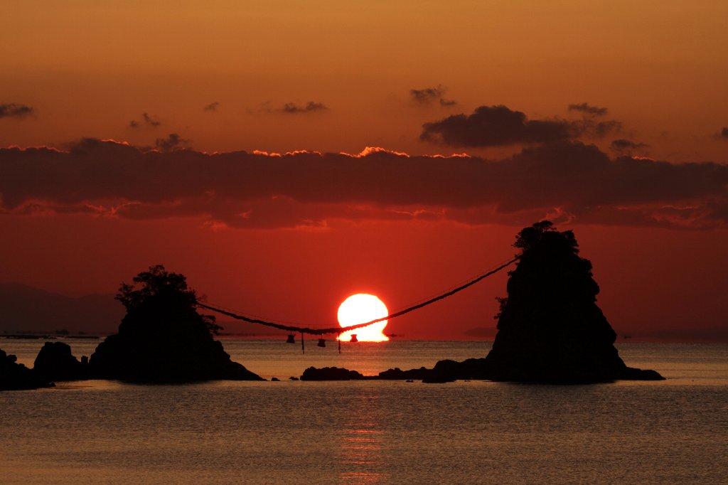 ����ܑ��z