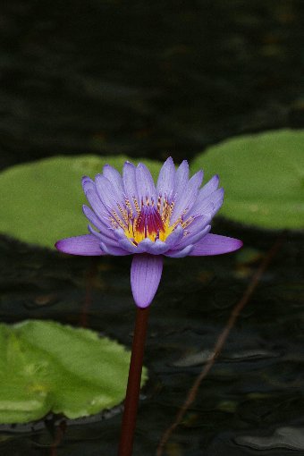 �M�уX�C����