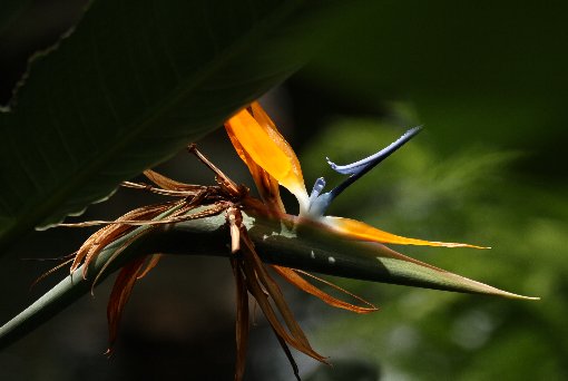 �X�g�����`�A