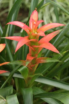 �O�Y�}�j�A