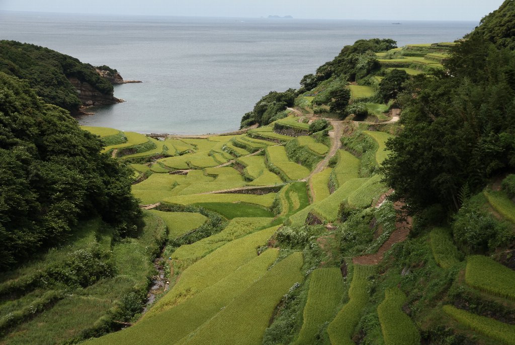 �l��Y�̒I�c