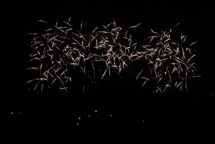 �啪�s�̉ԉ�