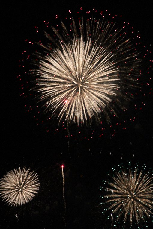 �啪�s�̉ԉ�