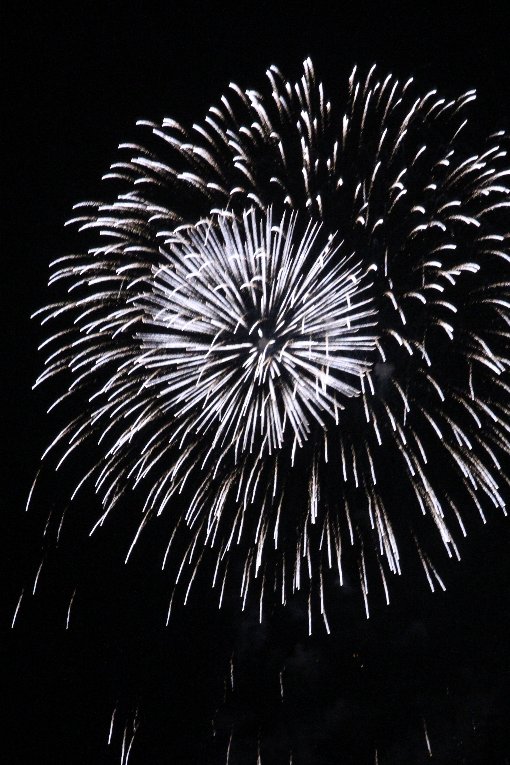 �啪�s�̉ԉ�