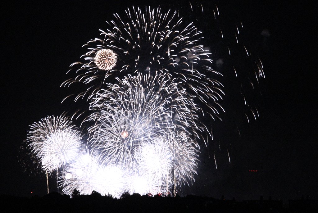 �啪�s�̉ԉ�