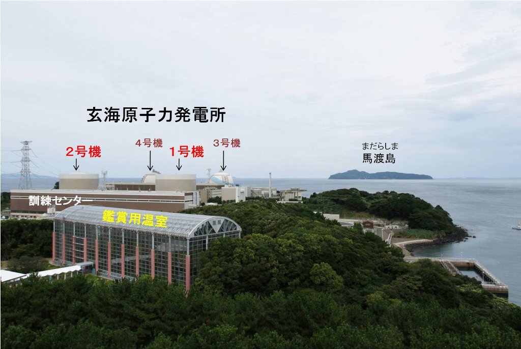 ���C�����z�u�}