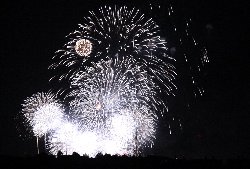 �啪�s�̉ԉ�