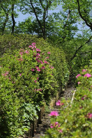 �����[�h