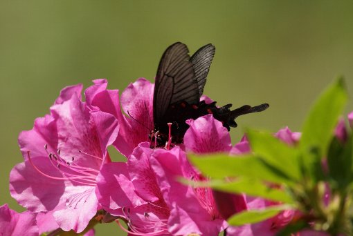 �A�Q�n�`���E