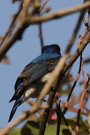 �����r�^�L