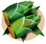 �A�Q�n�`���E�֖߂�