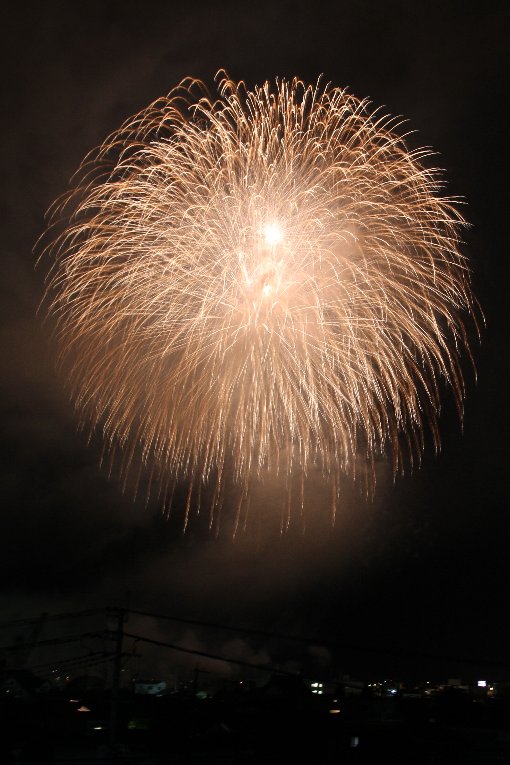 �P�D�T�ڋ�