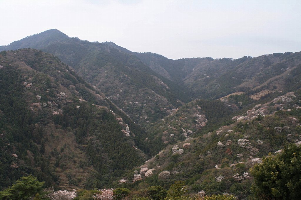 ���R�̎R��