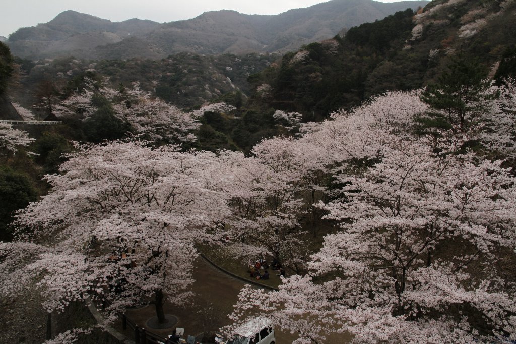 �]�_���̐���g������J