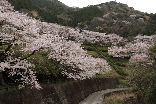 �]�_���̐���g������J