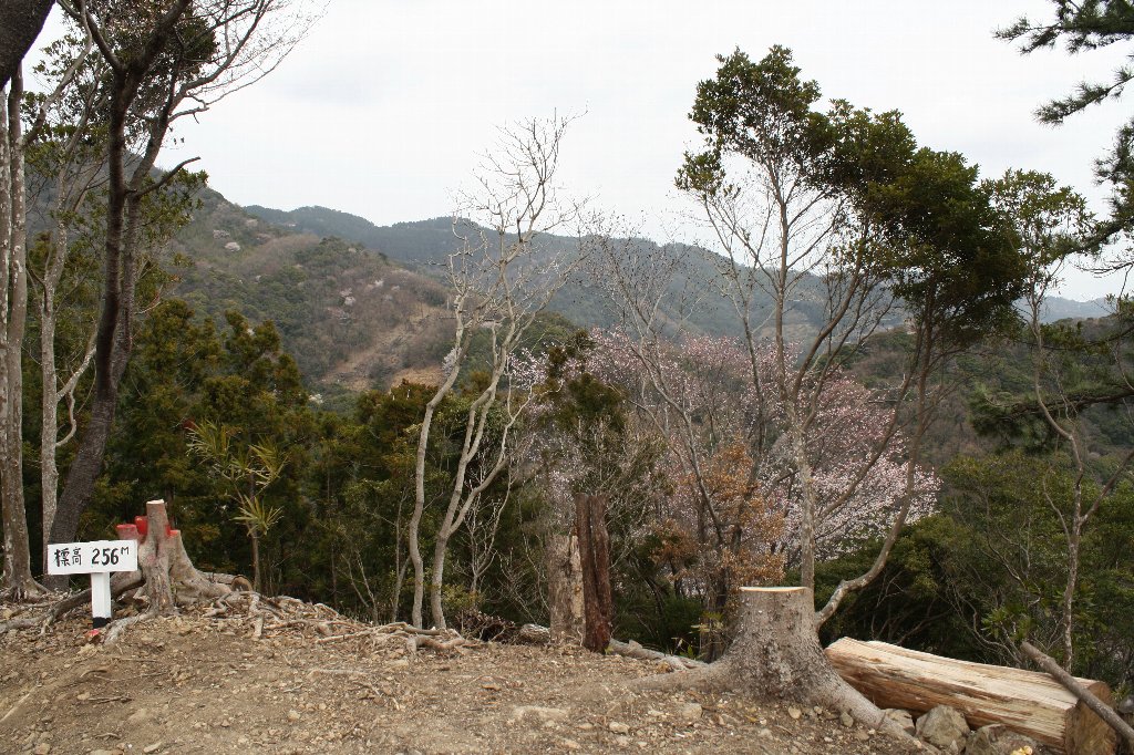 ����W�]��