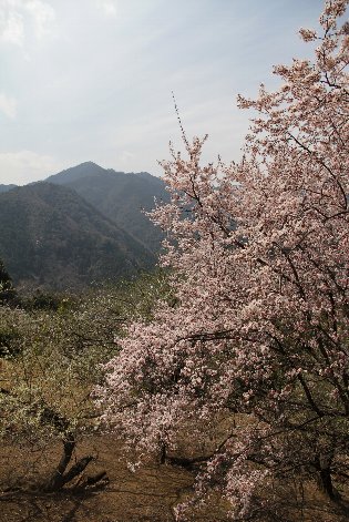 ����̍g��