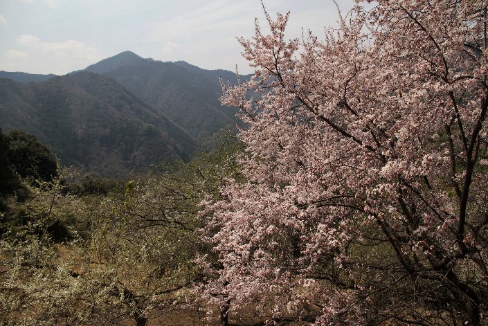 ����̍g��