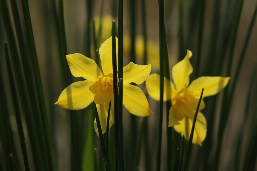 ���F�̐���