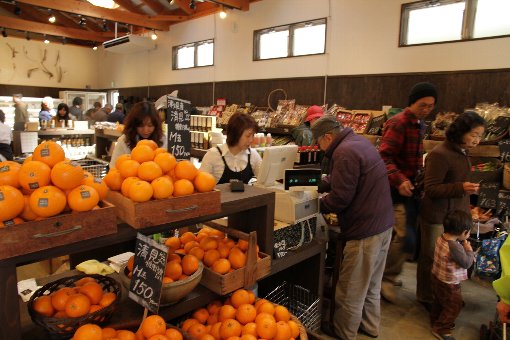 ���݃}���V�F