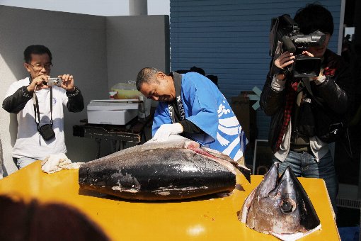 �܂�����