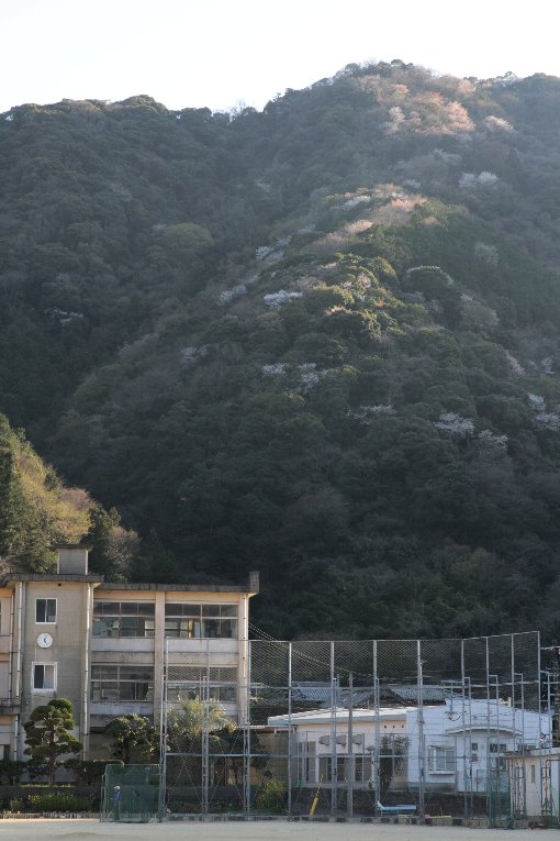 ��Q���w�Z�ƎR��