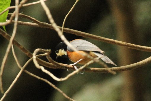 ���}�K��