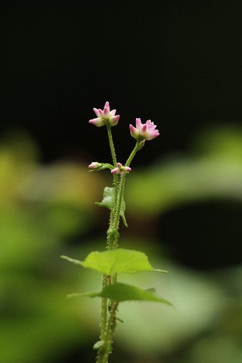 �}�}�R�m�V���k�O�C