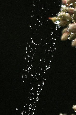 �J������H