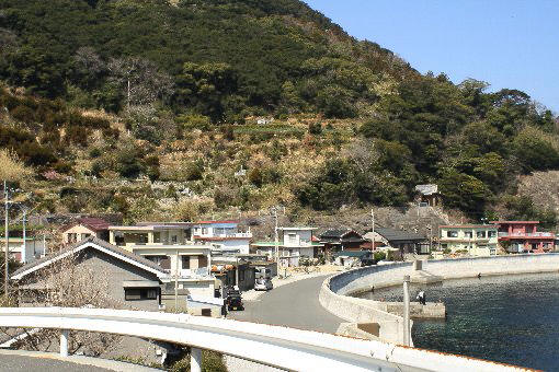 �������Y