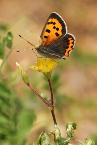 �x�j�V�W�~