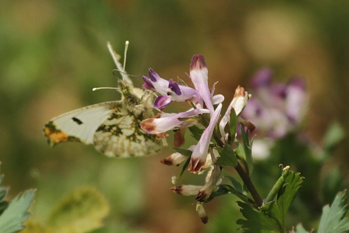 �c�}�L�`���E