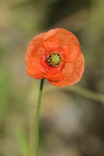 �i�K�~�q�i�Q�V